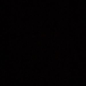 Meet your Posher, Noah